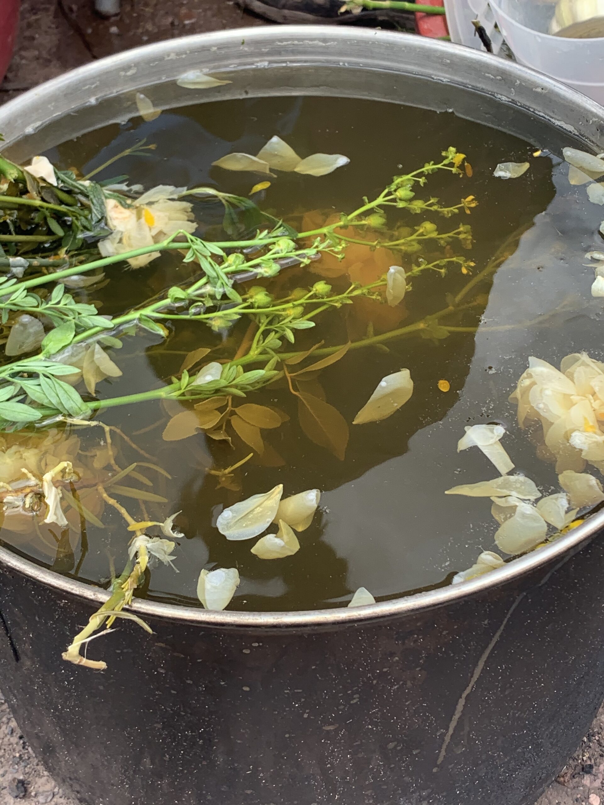 A flower bath at a healing retreat in Peru, symbolizing cleansing, renewal, and spiritual connection to nature.