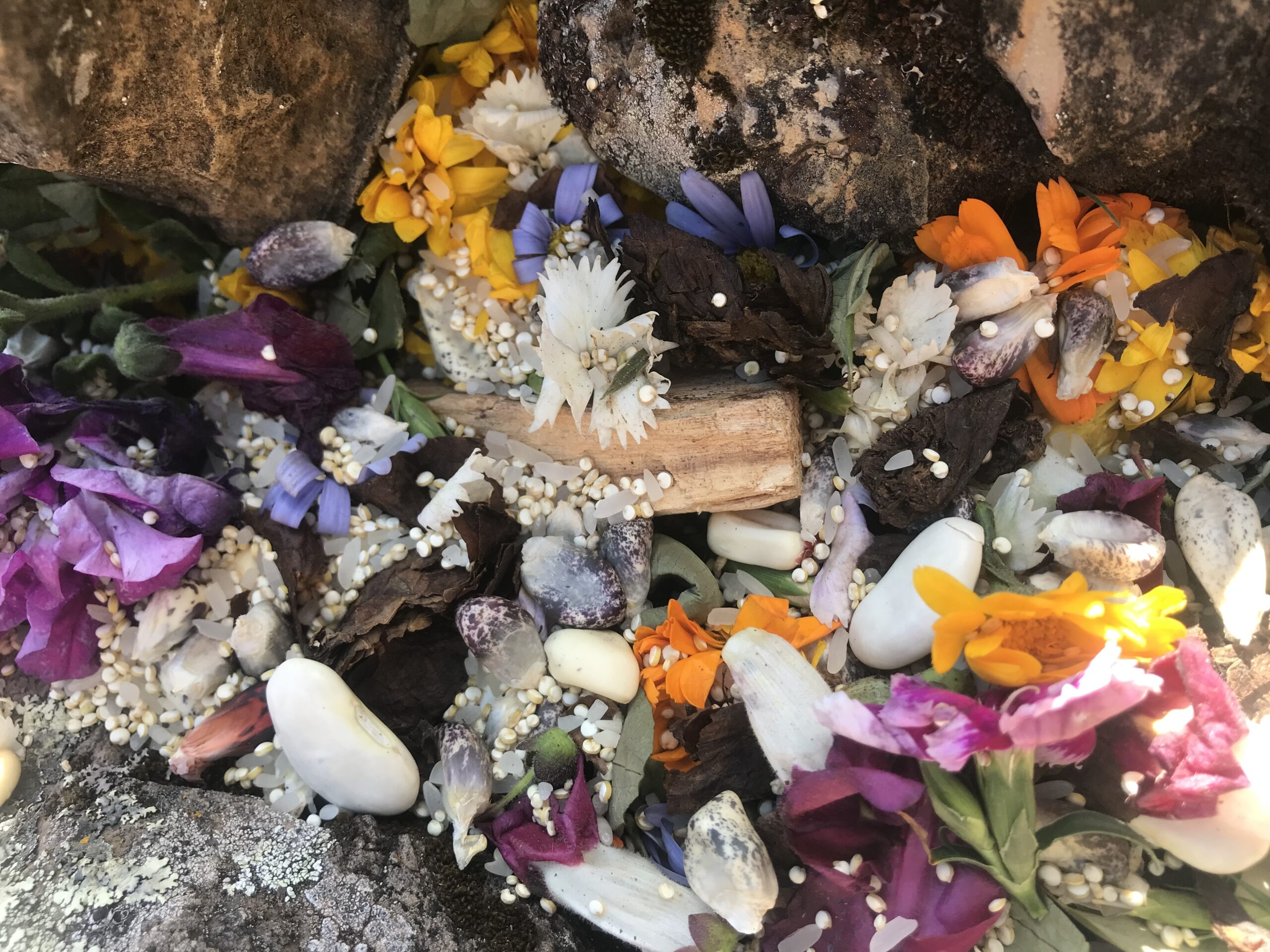 A sacred flower offering, symbolizing gratitude and connection to the healing energy of nature.
