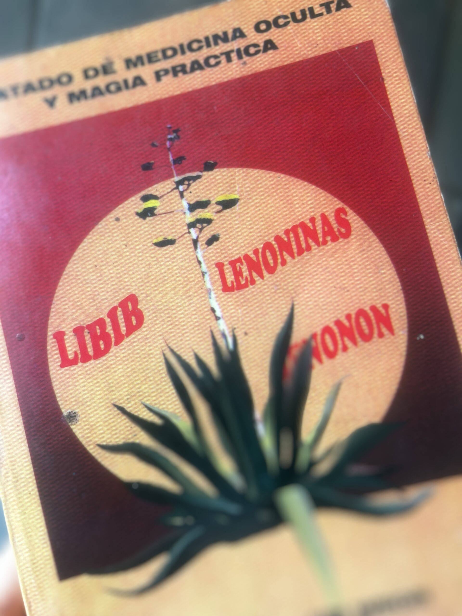 Worn copy of "Tratado de Medicina Oculta y Magia Práctica" by Samael Aun Weor resting on a wooden surface, softly lit