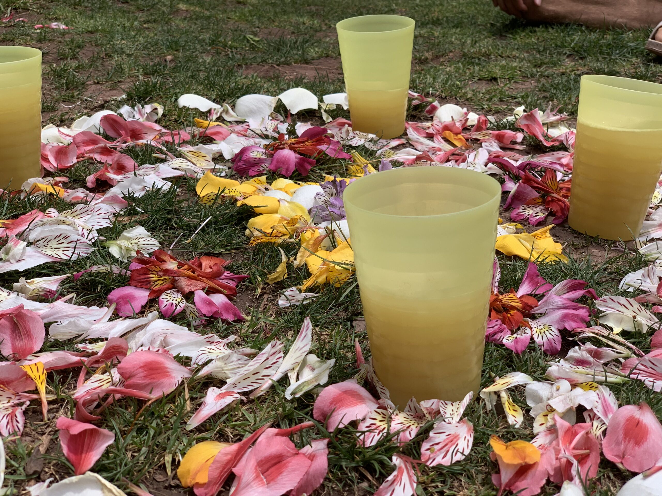 Flower mandala on grass surrounded by small cups prepared for a detox ceremony